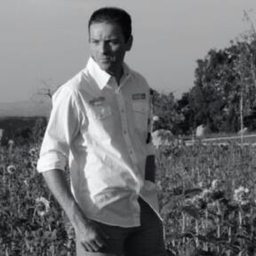 Senior Audi Customer Experience Manager