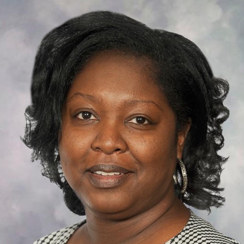 Director of Finance and Advisory Services