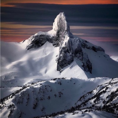 Chief Innovation and Strategic Partnerships Officer