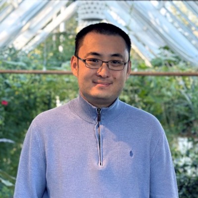 Vice President of AI Research and Development