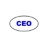 Chief Executive Officer (CEO) Network