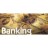 Arab Professionals in Finance, Banking, Investments & Capital Markets