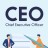Chief Executives | CEO, COO, CFO, CTO & CXO's (Investors, Partnerships, Mergers & Deals)..