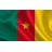 Business Partners Cameroon