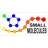 Small Molecules
