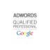 Google Adwords SEO SEM (Search Engine Optimization & Internet Marketing)