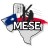 Texas MESE - Municipal Electric Safety Exchange