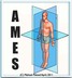 AMES-Advanced Manufacturing Engineering Society