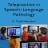 Telepractice In Speech-Language Pathology