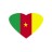 Cameroon Association for Research, Academics and Development