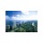 Miami Finance & FinTech Group: South Florida, Broward, West Palm, Keys, Latin America