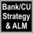 Bank / Credit Union Strategy & ALM