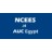 AUC Engineering Services: NCEES Licensure