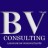 Bright Vision Consulting Services