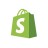 Shopify Women's Network