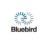 Bluebird Contracting Services