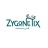 Zygonetix Consult