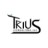 TriUS Consulting LLC