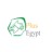 Plus Egypt Environmental Consulting