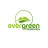 EVERGREEN FOUNDATION