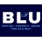 BLU -Business Leaders Unleashed