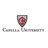 Capella Undergraduate Learners