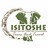 Isitoshe tours and travel
