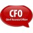CFO: Chief Financial Officer | Financial Leadership
