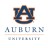 Undergraduate Certificate in National Security & Intelligence at Auburn University