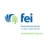 FEI Philadelphia Chapter Group