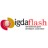 IGDA Flash SIG