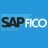 SAP FICO Experts
