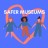 Safer Museums Network